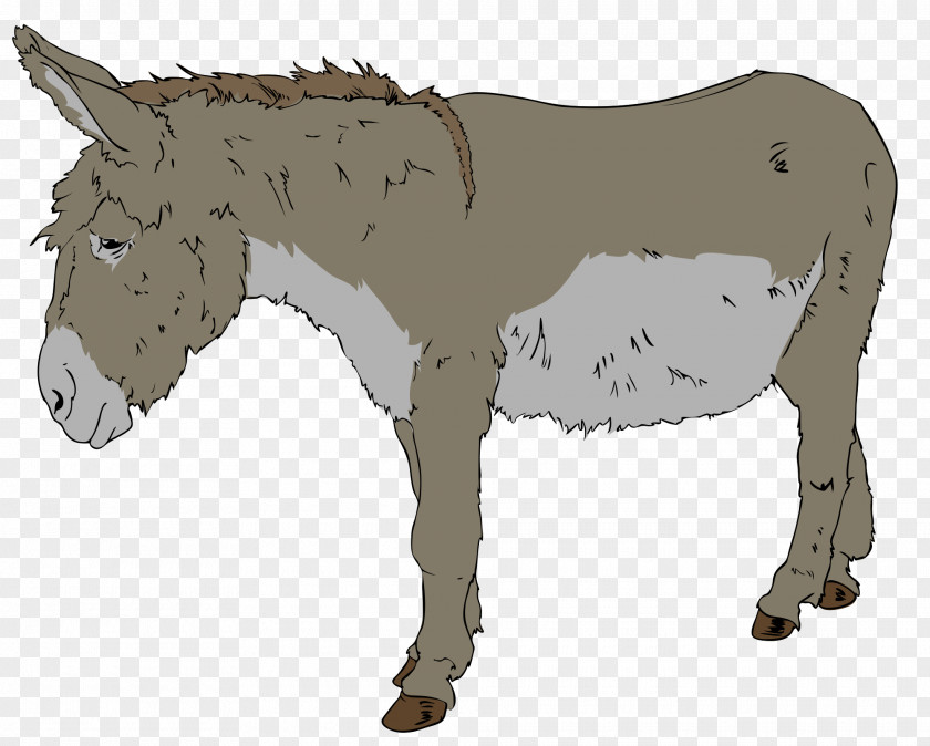 Donkey Cliparts Benjamin Free Content Clip Art PNG