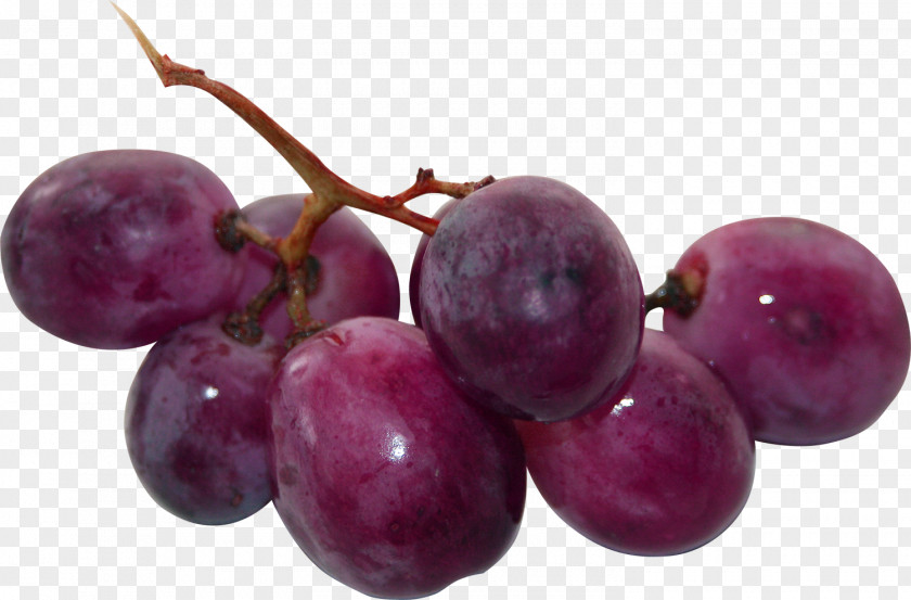 Grape Seedless Fruit U042fu043du0434u0435u043au0441.u0424u043eu0442u043au0438 Auglis PNG fruit u042fu043du0434u0435u043au0441.u0424u043eu0442u043au0438 Auglis, a bunch of grapes clipart PNG