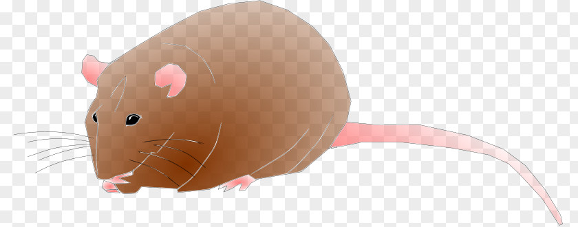Seta Mouse Rat Clip Art Openclipart Rodent Computer PNG