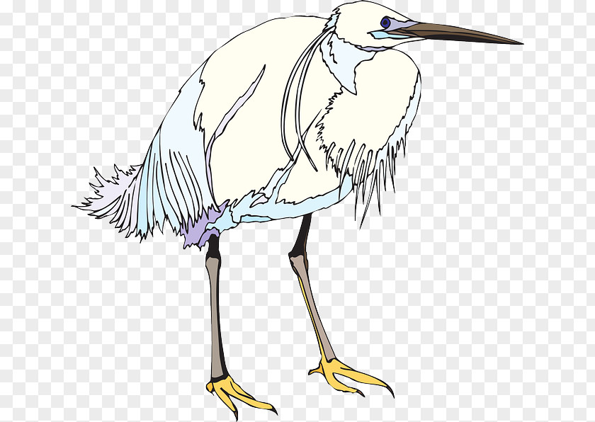 Stork Crane Bird Green Heron Clip Art PNG