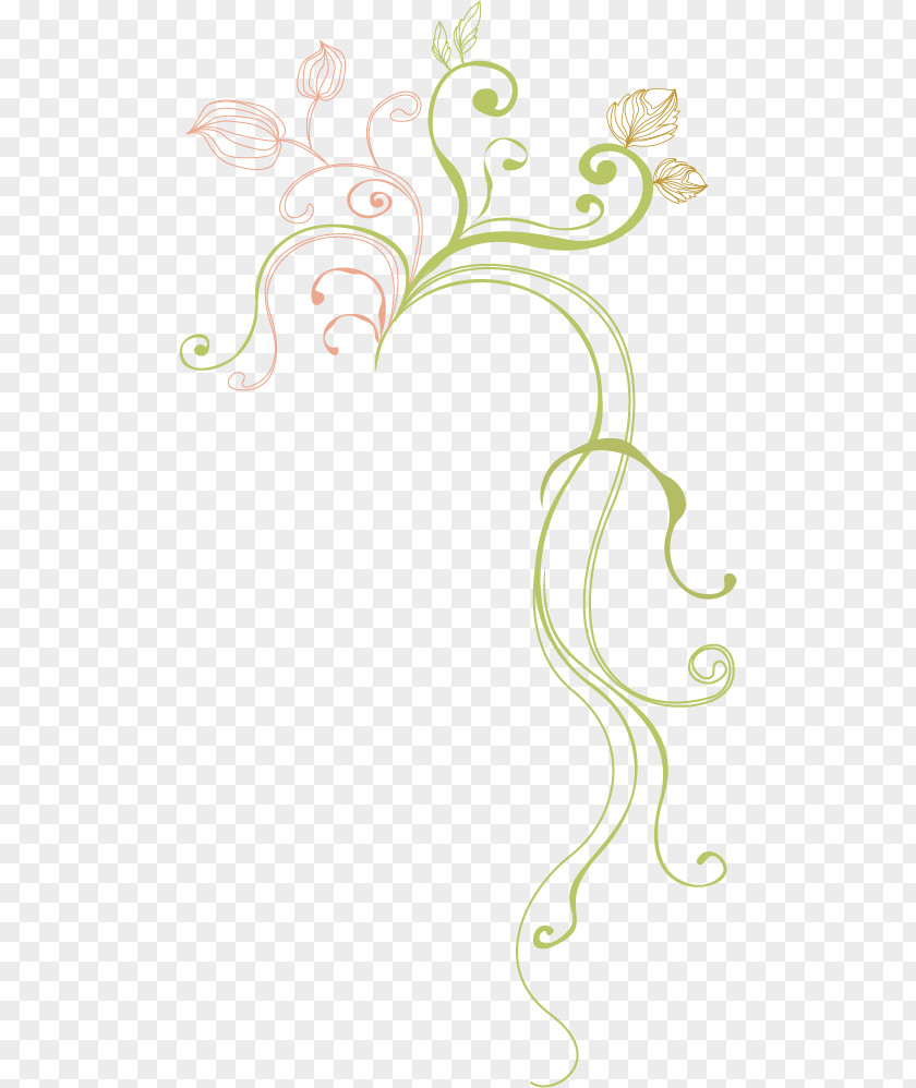 Vine Floral Design Illustration Leaf Clip Art PNG