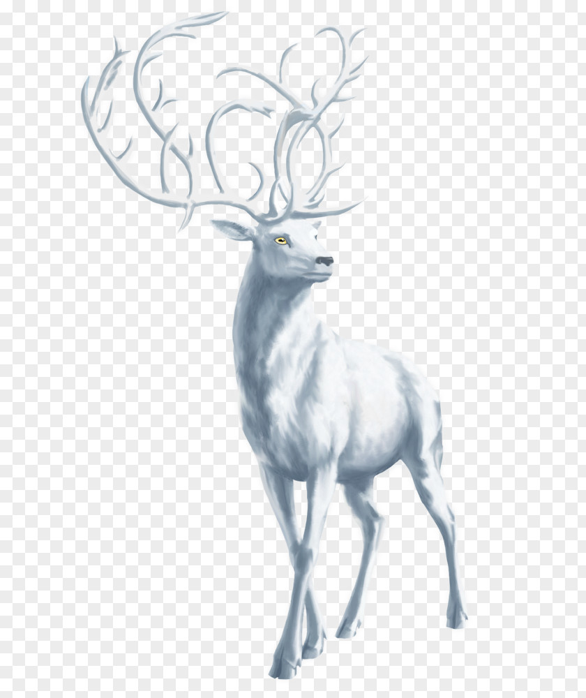 White Deer Red Elk Reindeer Antler PNG