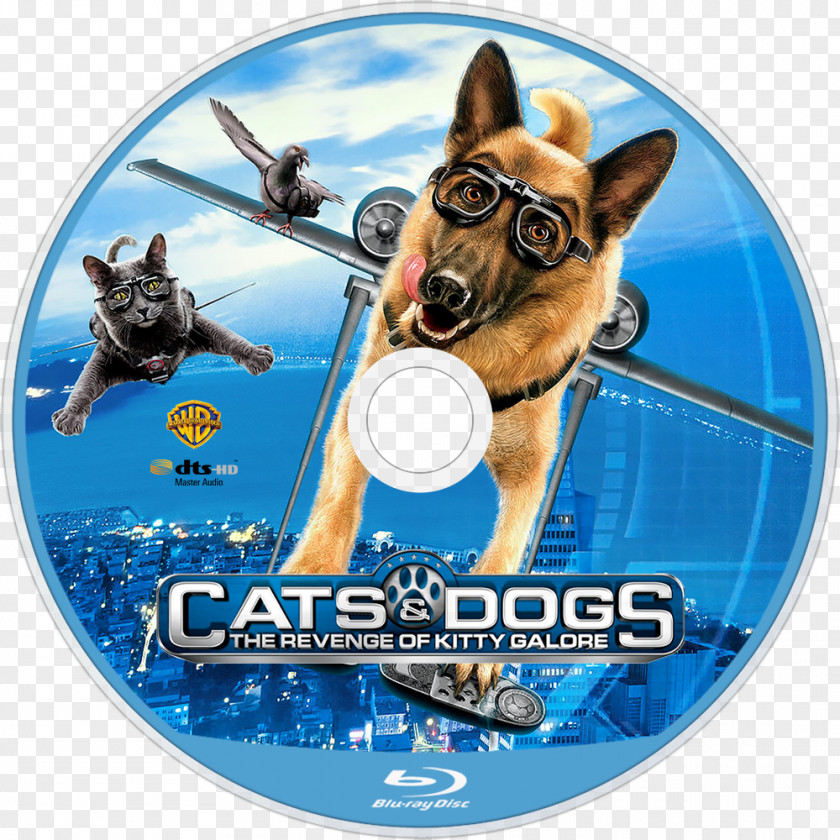 Cat Cats & Dogs YouTube Kitty Galore Film PNG