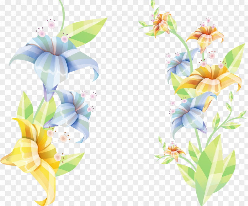 Color Lily Floral Design Flower Lilium Wall PNG