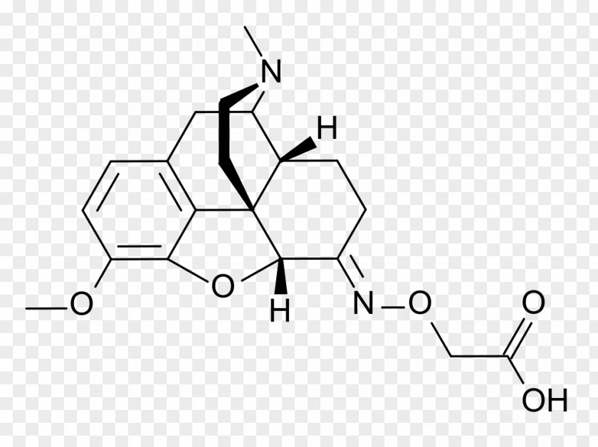 Druge Hydromorphone Oxycodone Opioid Opium Poppy Drug PNG