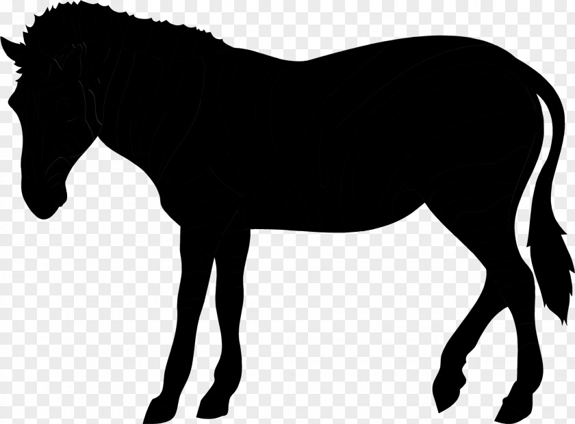 Mustang Mule Mare Clip Art Pony PNG
