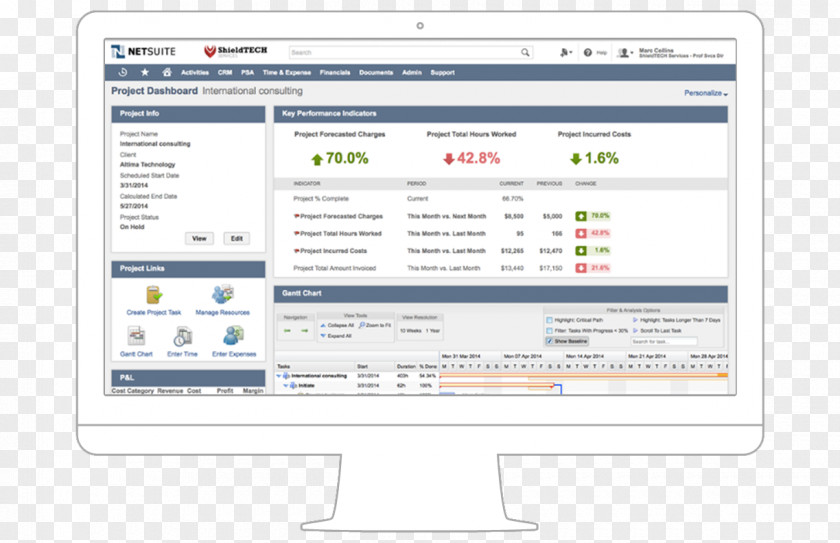 NetSuite User Interface Computer Software Enterprise Resource Planning PNG