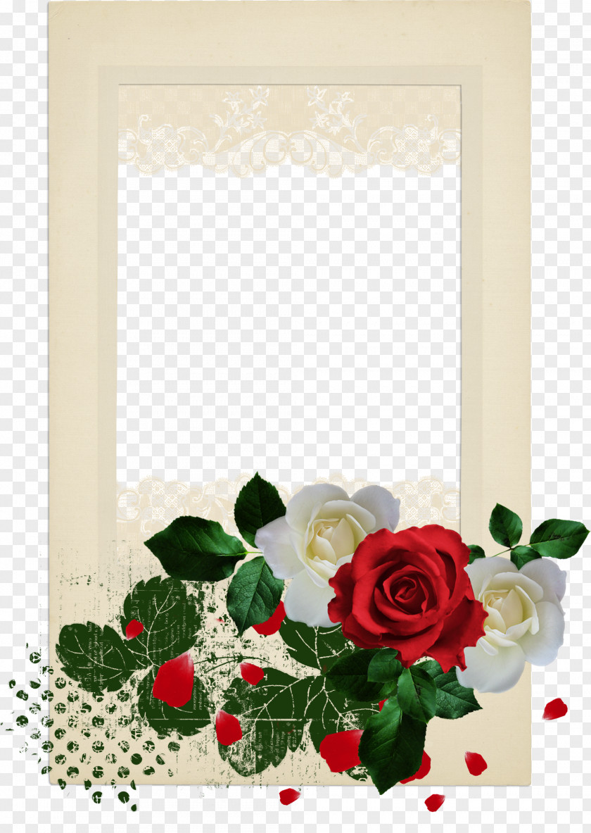 Rose Borders Garden Roses Beach Flower Clip Art PNG