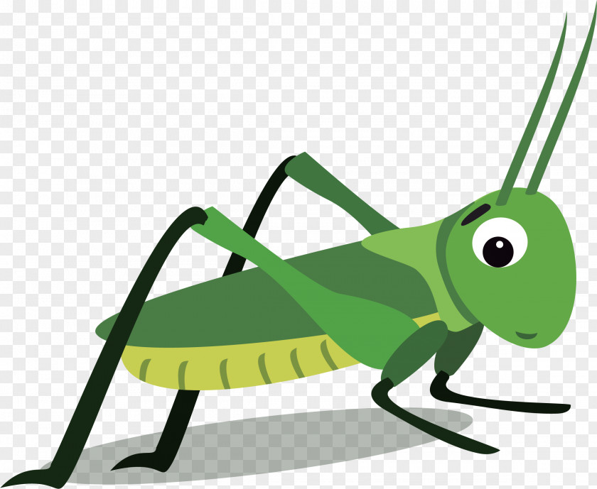 Vector Green Cockroaches Cockroach Insect Panchlora Nivea PNG