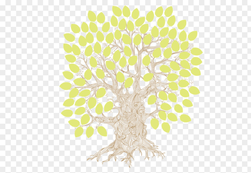 Watercolor Tree Branch Illustration PNG