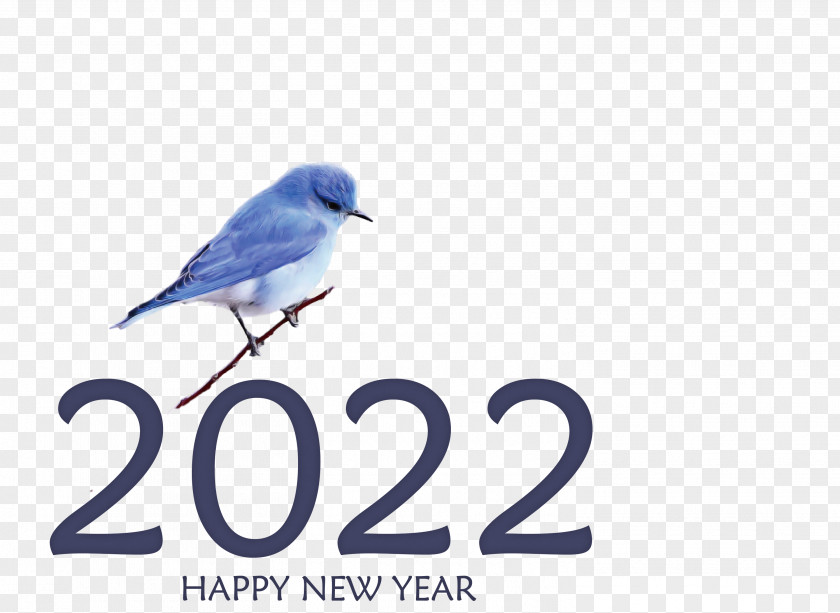 2022 Happy New Year PNG