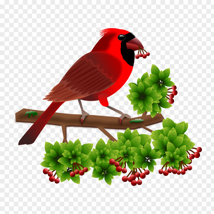 Bird Finches Common Nightingale Sparrow Beak PNG