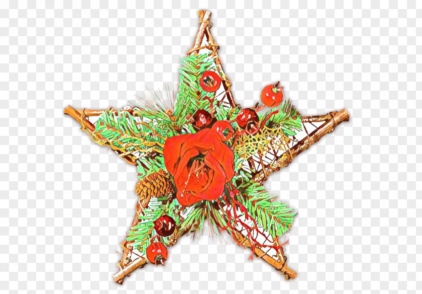 Holiday Ornament Interior Design Christmas Tree Star PNG