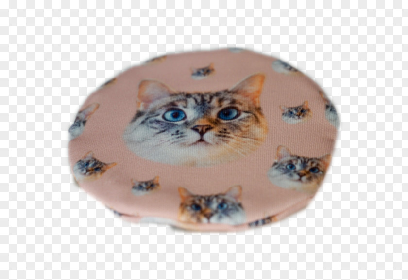 Kitten Tabby Cat Whiskers Ceramic PNG