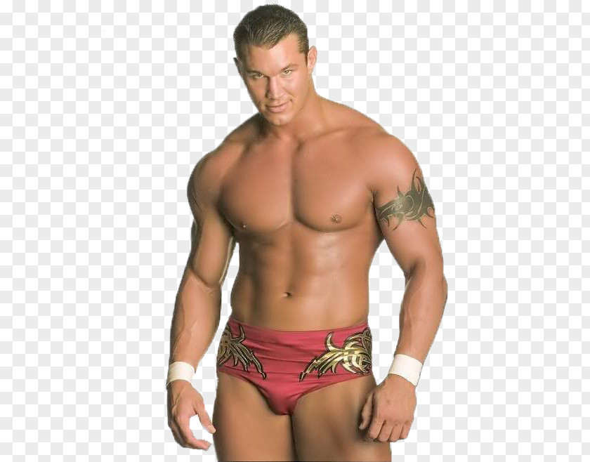 Randy Orton WWE Championship SmackDown Professional Wrestler PNG Wrestler, randy orton clipart PNG