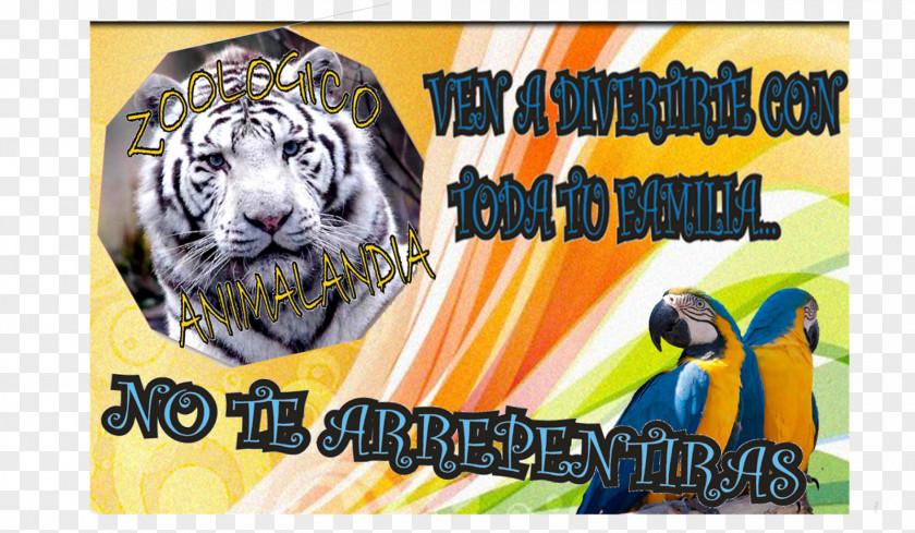 Tiger White Graphic Design Text PNG