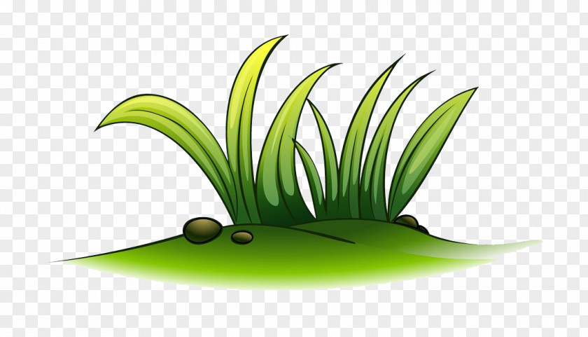 A Plant Of Grass Cartoon Clip Art PNG