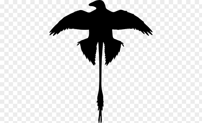 Dinosaur Vector Microraptor Bird Anchiornis Feather PNG