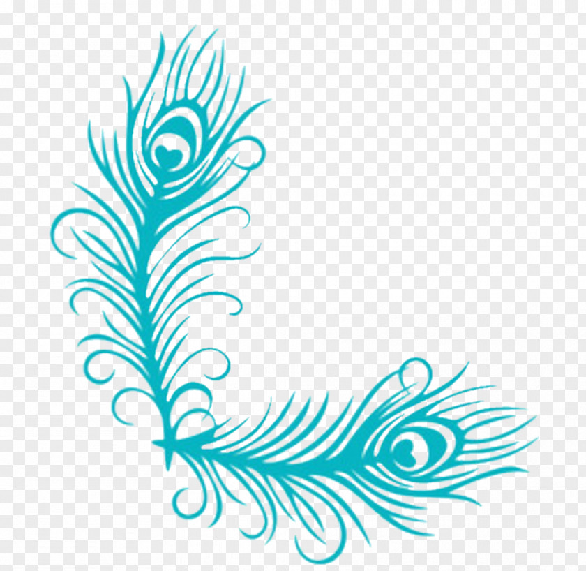 Feather Peacock Decal Sticker Peafowl PNG