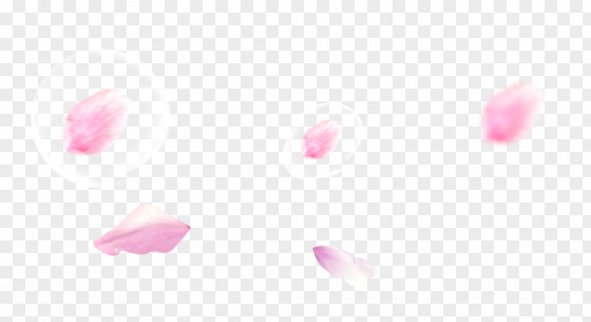 Pink Peach Petals Floating Material Petal Heart Pattern PNG