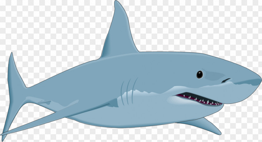 Sharks Great White Shark Drawing Clip Art PNG