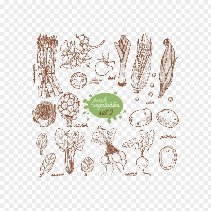 Vegetables Avoid Drawing Vegetable Food Illustration PNG