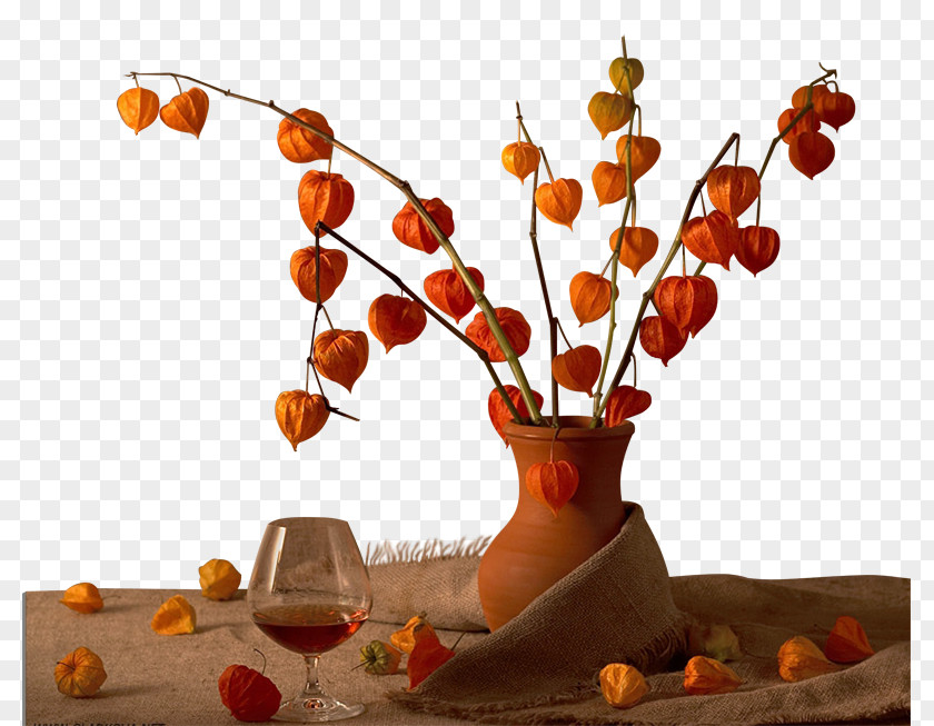 Chocolate Still Life Photography Confectionery PNG