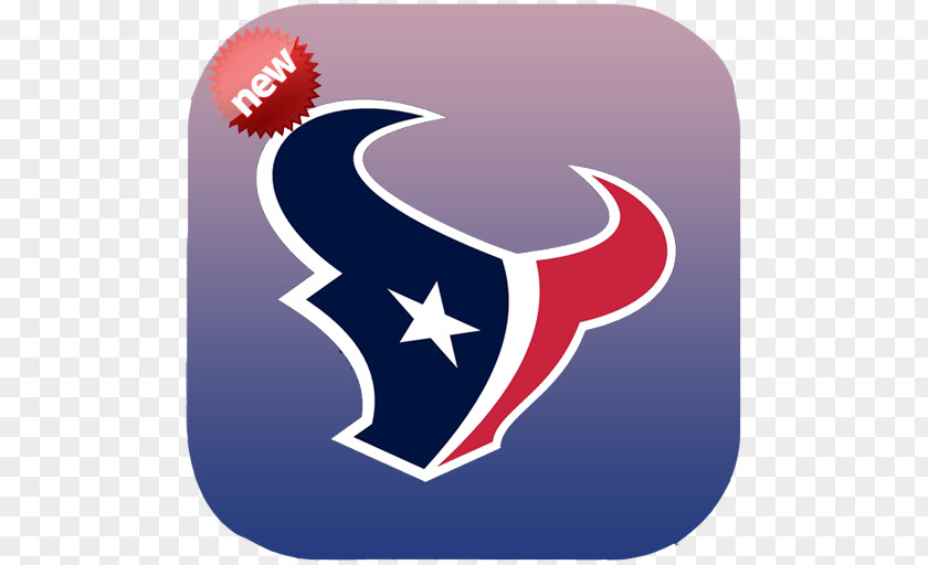 Houston Texans Cheerleaders NFL American Football Sport PNG