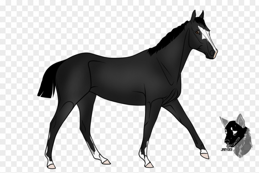 Arabian Night Friesian Horse Stallion Standardbred Sulky Thoroughbred PNG