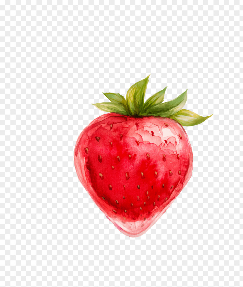 Cute Strawberry Vector Graphics Clip Art Drawing Illustration PNG