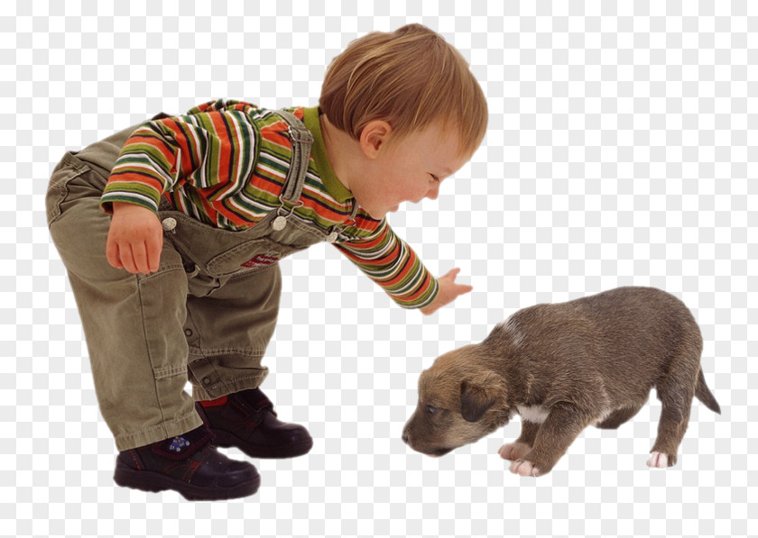 Enfant Puppy Dog Kitten Toddler Child PNG