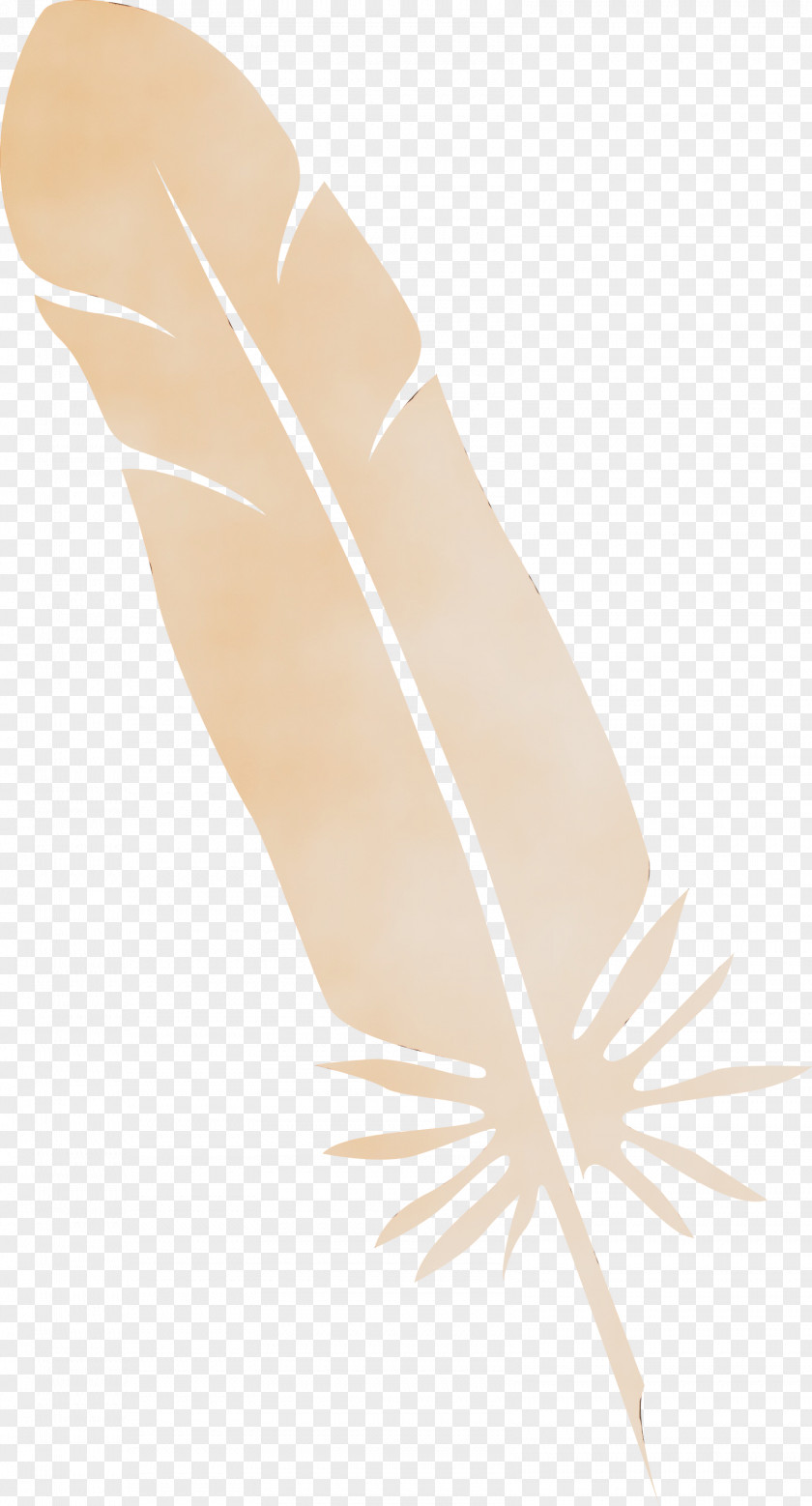 Feather PNG