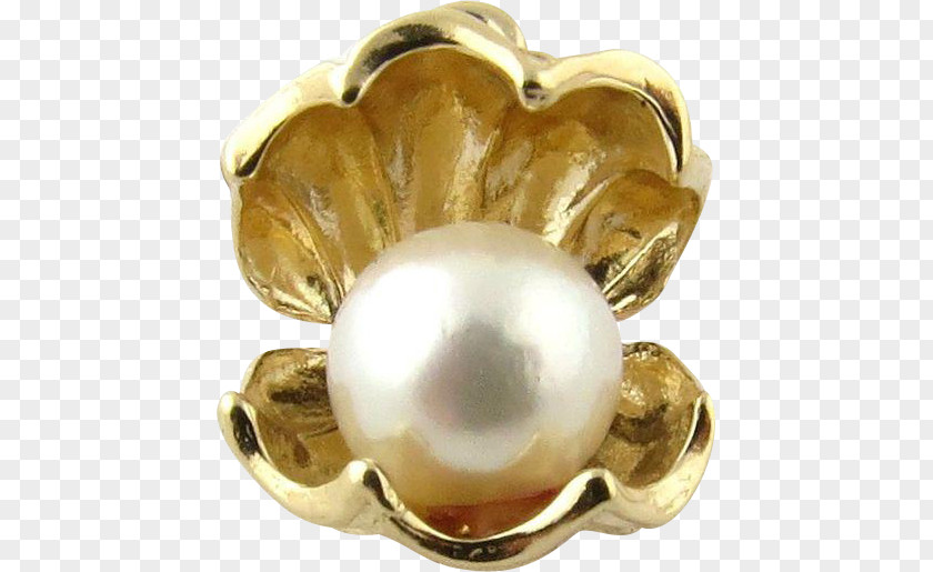 PEARL SHELL Giant Clam Pearl Seashell Jewellery PNG