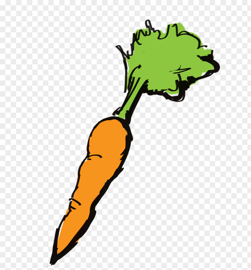 Radish Daikon Carrot Cartoon PNG