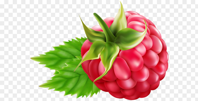 Raspberry Blackberry Desktop Wallpaper Clip Art PNG