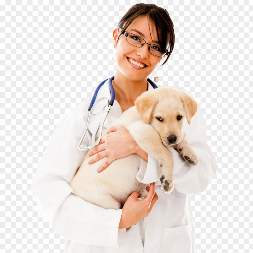 The Beauty Pet Doctor Holds Dog Cat Veterinarian Physician PNG