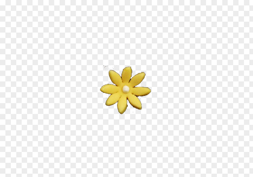 Yellow Daisy Pictures Petal Pattern PNG