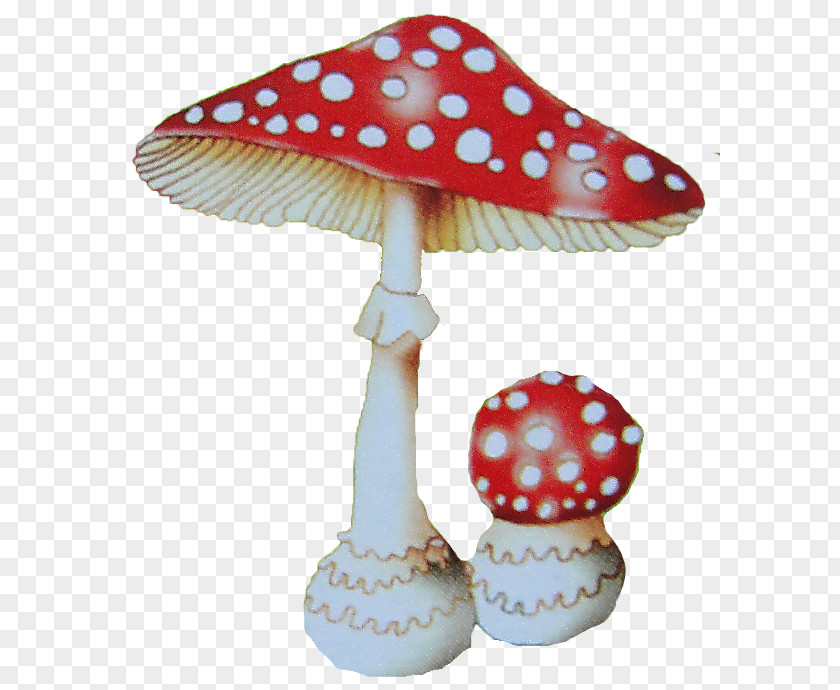 мухомор Amanita Fungus Poisonous Mushroom Clip Art PNG