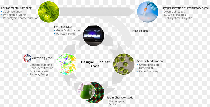 Characterization Algae Fuel ExxonMobil Synthetic Genomics Biofuel PNG