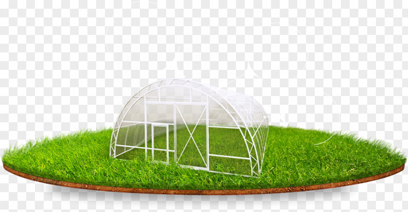 Design Lawn Grasses PNG