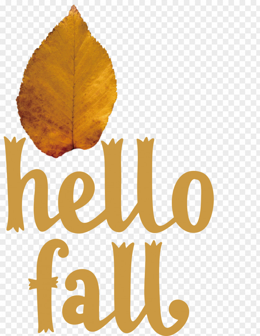 Hello Fall Fall Autumn PNG