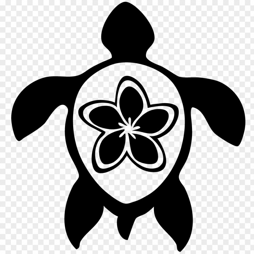 Plumeria Green Sea Turtle Hawaii Clip Art PNG