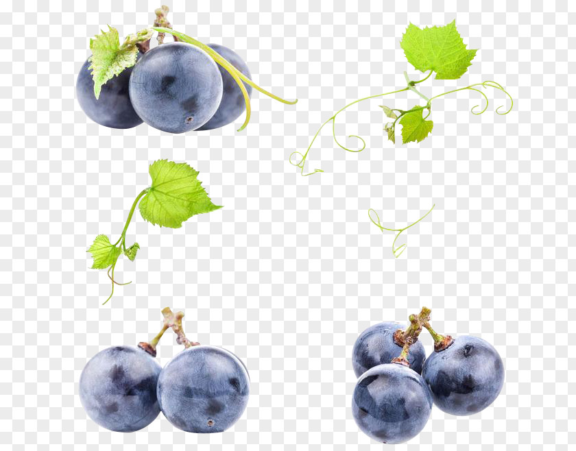 Purple Grapes Juice Wine Common Grape Vine PNG