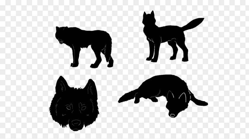 Wolf Silouette Schipperke Silhouette Gray Puppy Drawing PNG