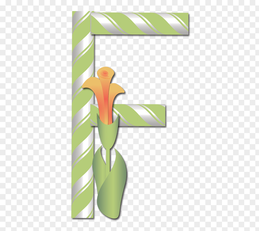 Amigo Ornament Flower Alphabet Font Graphics Product Design PNG