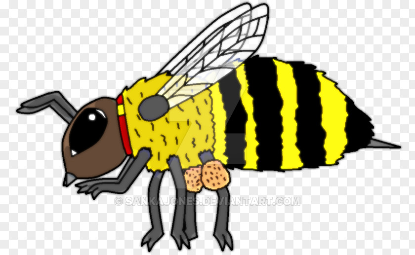 Bee Honey Cartoon Clip Art PNG