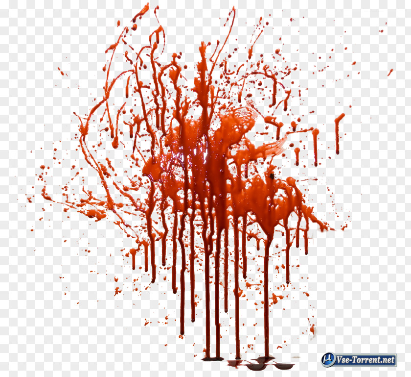 Blood Cartoon Clip Art Image Adobe Photoshop Photograph PNG