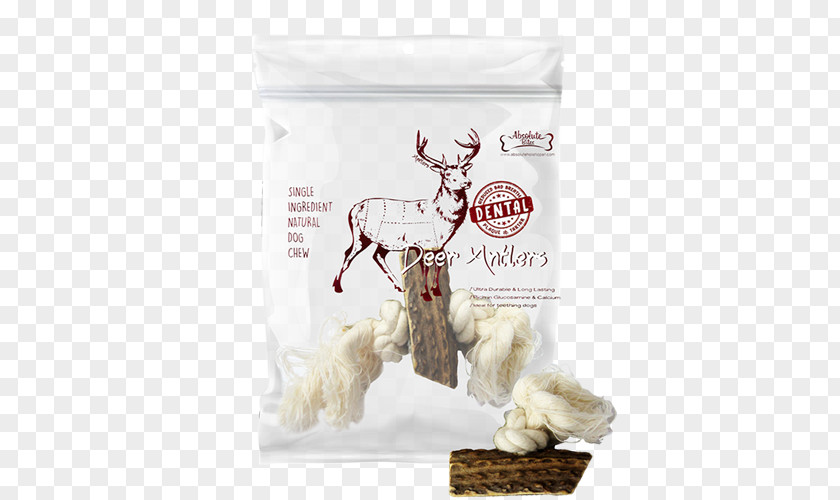 Dog Kohepets Pet Shop Antler PNG