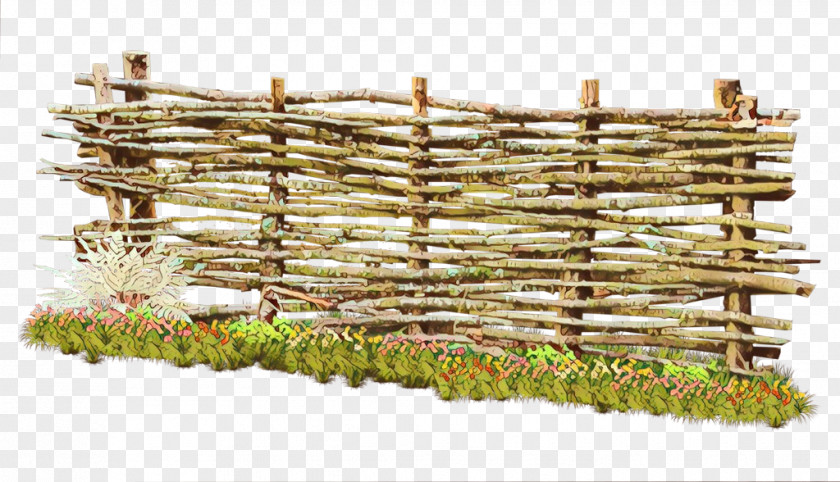 Fence Plant Grass Bamboo Vascular PNG