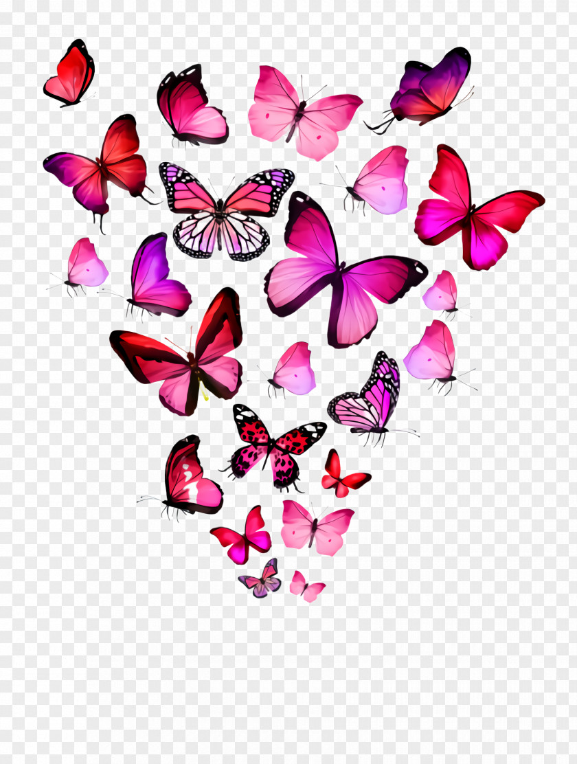 Herbaceous Plant Pollinator Pink Butterfly Heart Petal Moths And Butterflies PNG
